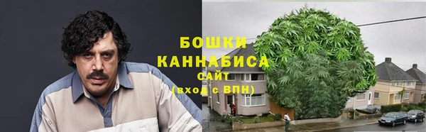 ПСИЛОЦИБИНОВЫЕ ГРИБЫ Куйбышев