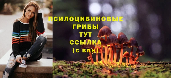 Альфа ПВП Красноперекопск